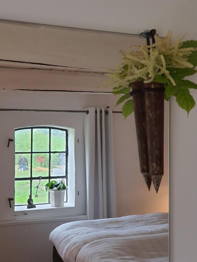 4B Oesterlen Bed & Breakfast โทเมลิลลา ภายนอก รูปภาพ